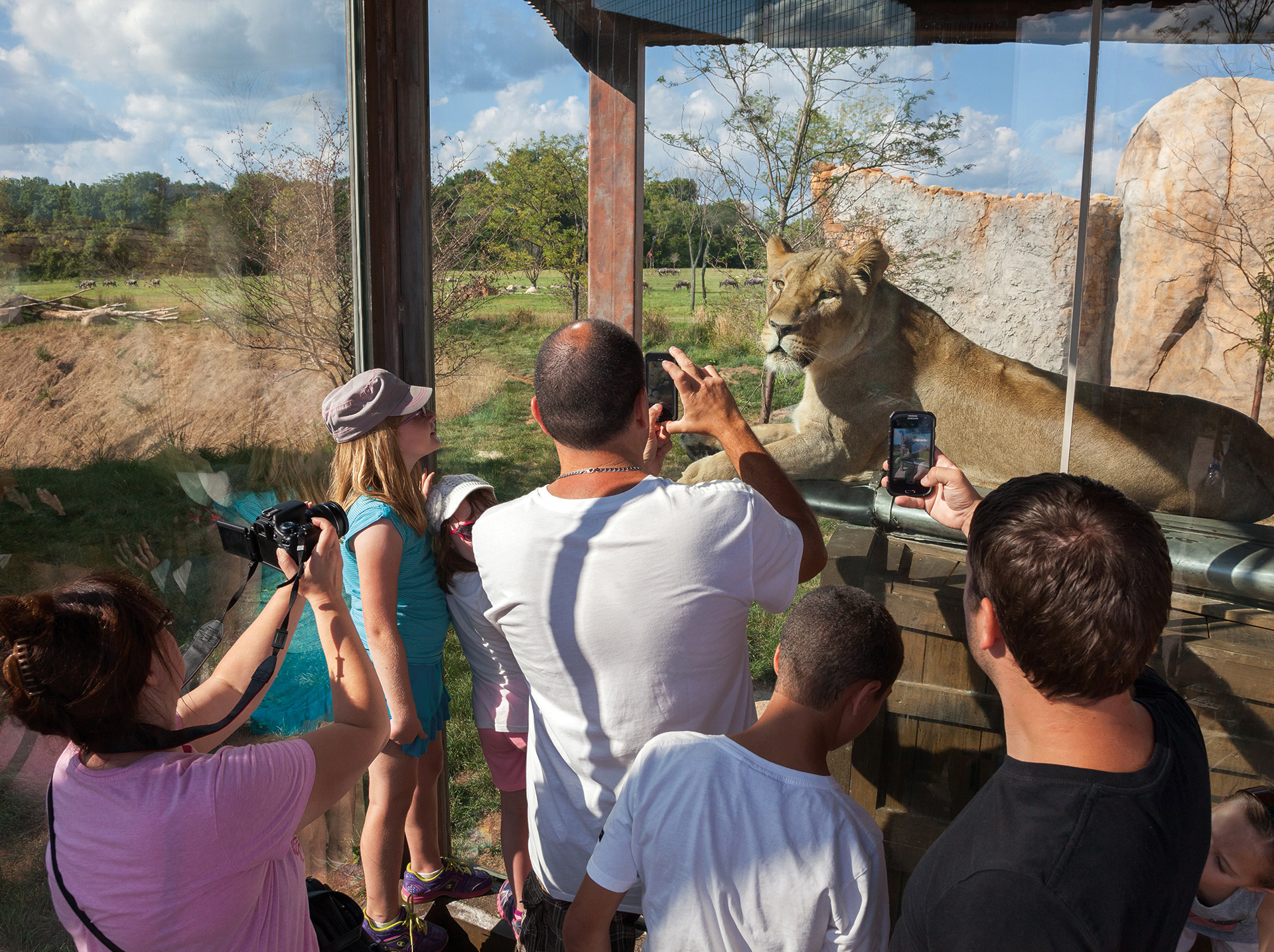 restaurants near columbus zoo