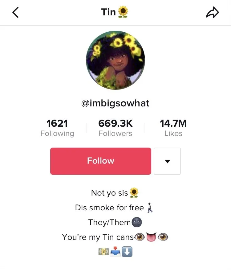 TikTok profile of creator Tin (@imbigsowhat) showing 669.3K followers and 14.7M likes