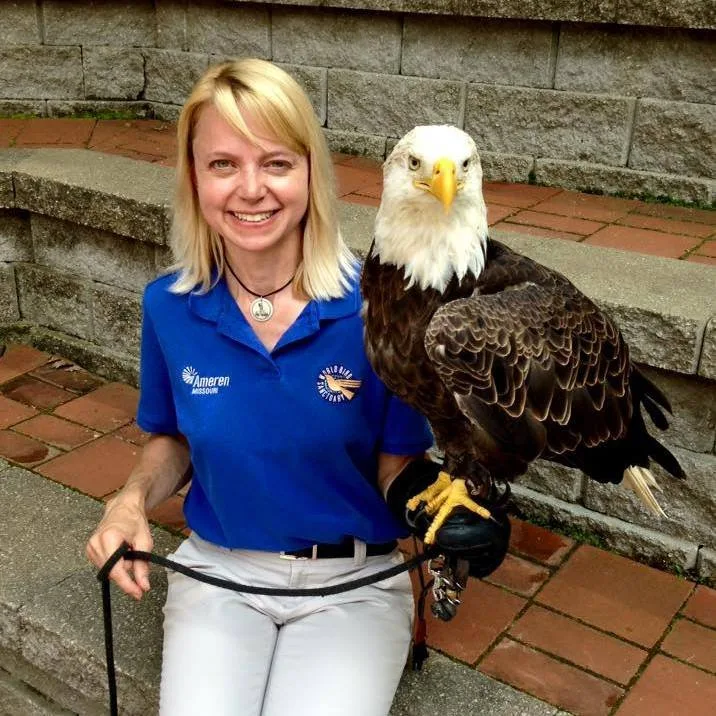 Dawn Griffard, CEO of World Bird Sanctuary, smiling with a bald eagle perched on her gloved hand