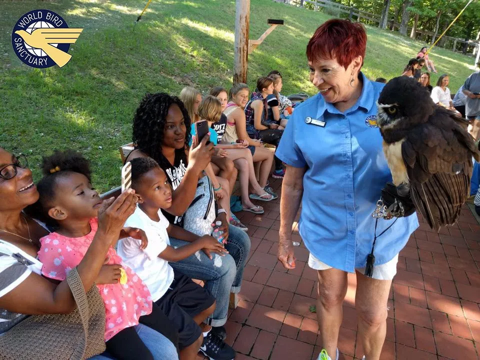 World Bird Sanctuary educator showing an owl on her glove to delighted families at an outdoor program