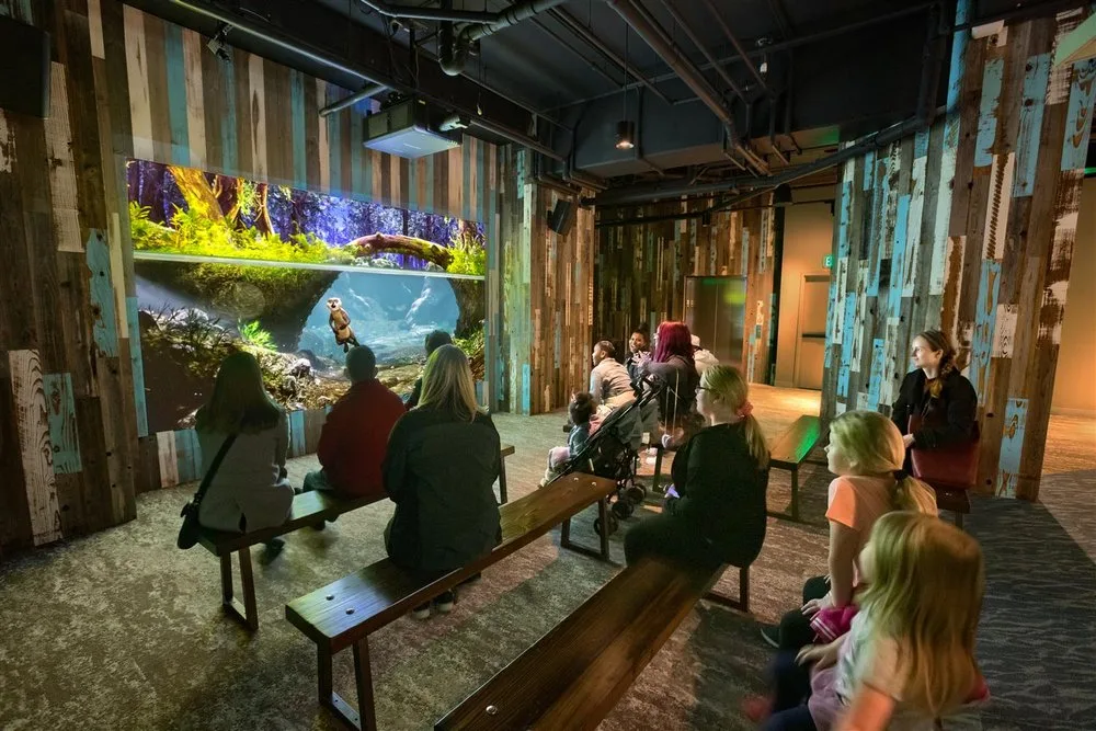 Guests on benches watching an otter video on a large screen in the Changing Rivers gallery