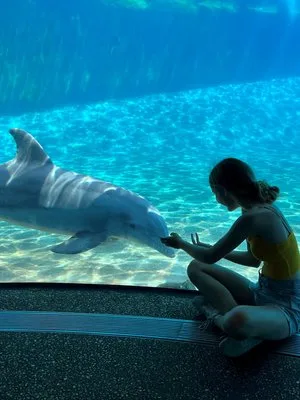 Young woman sitting by an underwater viewing window as a dolphin swims up to her hand