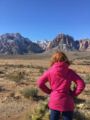 Woman in a pink jacket gazing at red rock mountains across a desert landscape