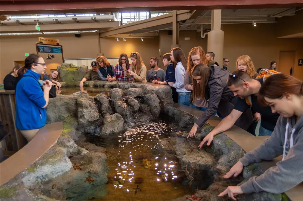 Visitors reaching into a rocky touch pool while an educator watches at the St. Louis Aquarium at Union Station