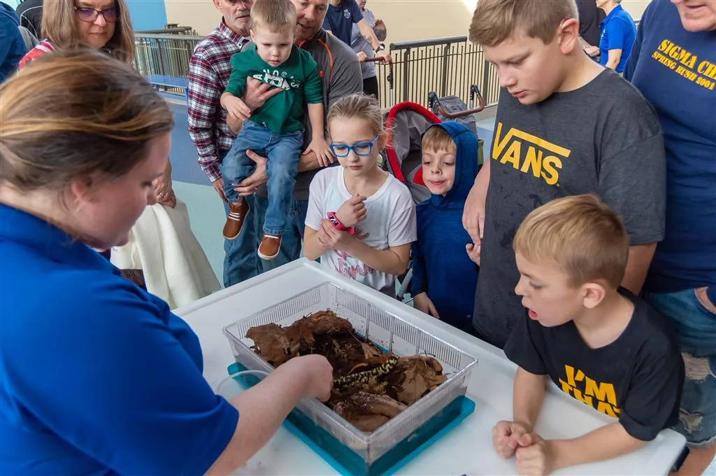 Educator showing children a live animal in a leaf-filled tub in the conservation education center at the St. Louis Aquarium