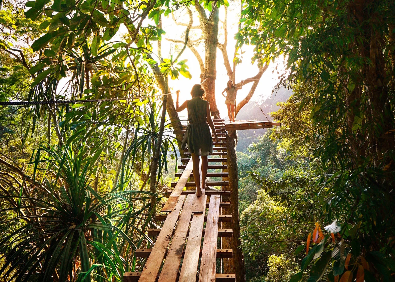 Traveler climbing a wooden treehouse stairway in a sunlit jungle canopy