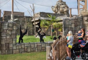 Guests view primates at Tulsa Zoo's Lost Kingdom