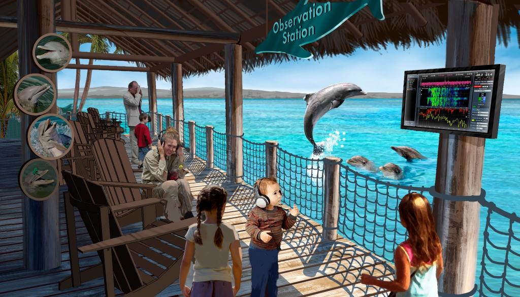 Concept rendering of an outdoor exhibit at the Dolphin Research Center