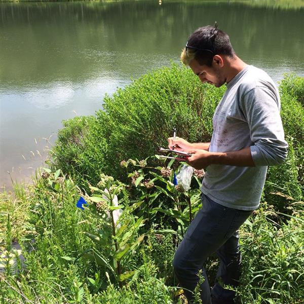 The winner of the PGAVia Pollinator Grant studies milkweeds lakeside