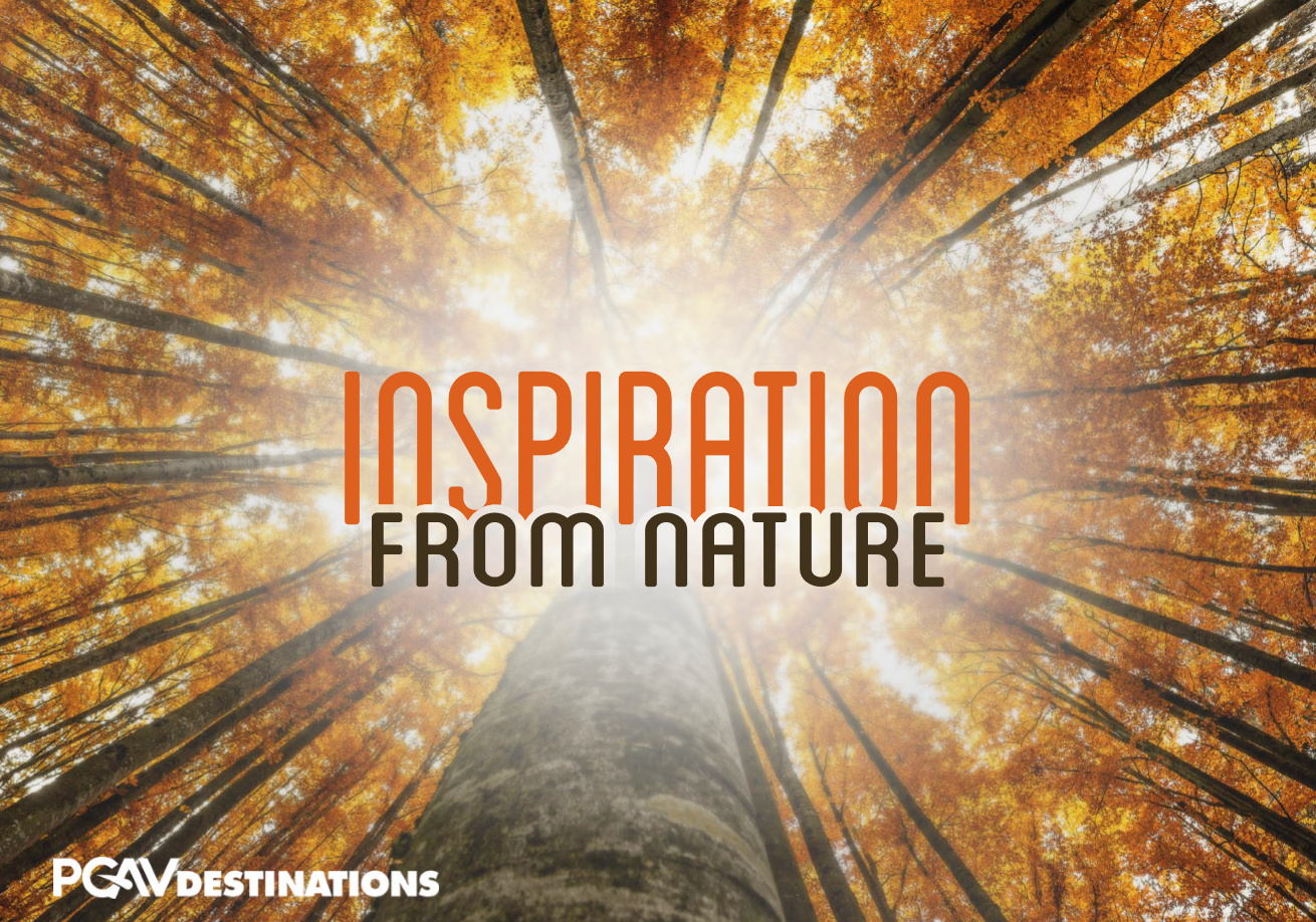 The cover of PGAV's book Inspiration from Nature