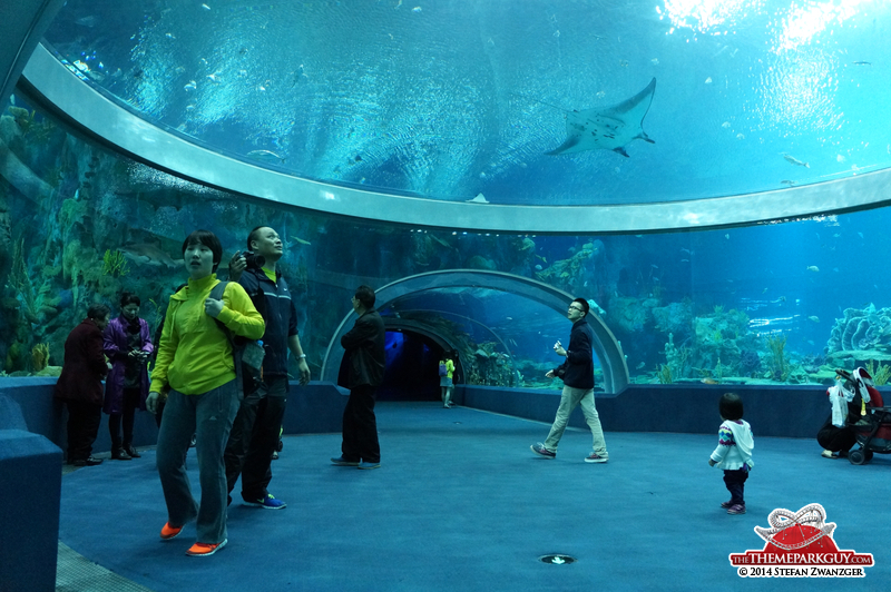 An overhead dome featuring rays and sharks at Chimelong Ocean Kingdom. Guinness Book of World Records Largest Underwater Viewing Dome.