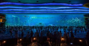 Chimelong Ocean Kingdom
