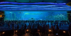 Chimelong Ocean Kingdom