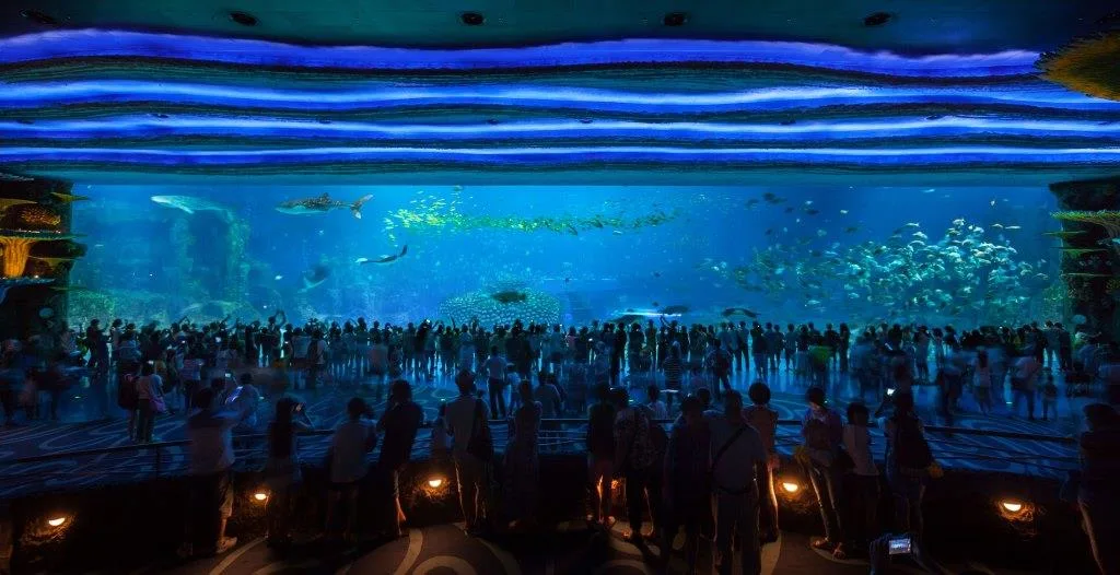 Guinness Book of World Records Largest Aquarium Tank at Chimelong Ocean Kingdom