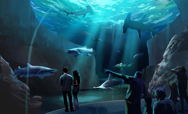 Georgia Aquarium 2020 Sharks