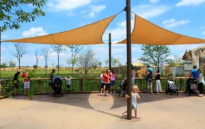Guests view an open plane of hoofstock and lions at the Columbus Zoo and Aquarium's Heart of Africa
