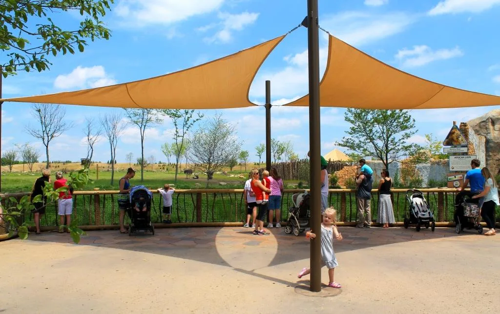 Guests view an open plane of hoofstock and lions at the Columbus Zoo and Aquarium's Heart of Africa