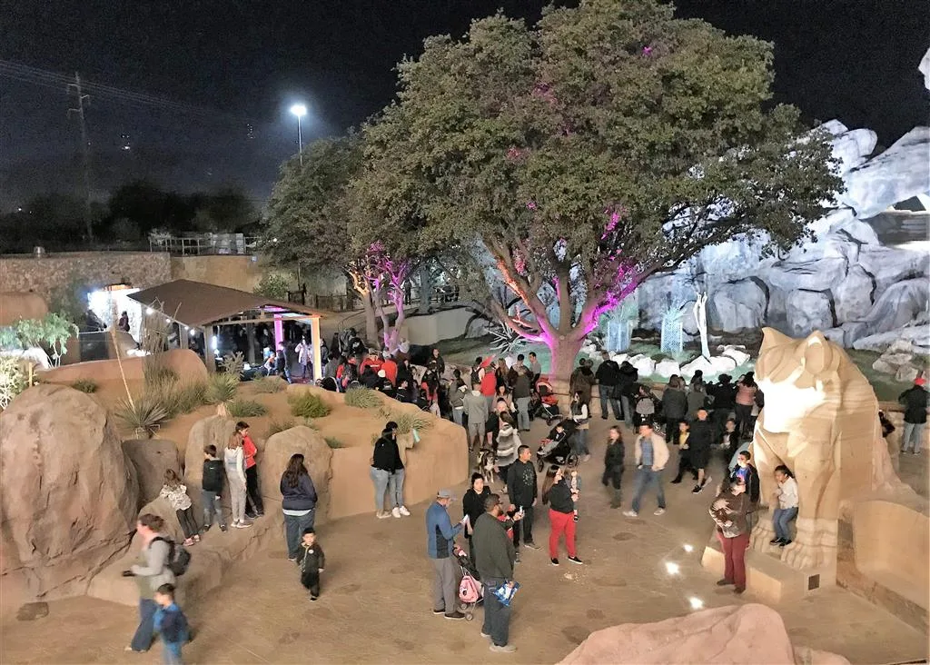 Crowds at night in the lit Chihuahuan Desert plaza at El Paso Zoo beside the mountain lion statue