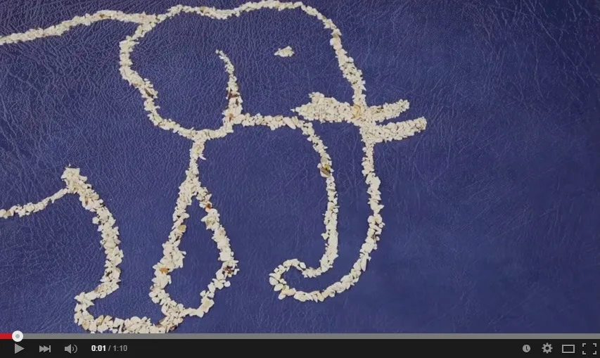 Screen capture of a YouTube video about elephant ivory
