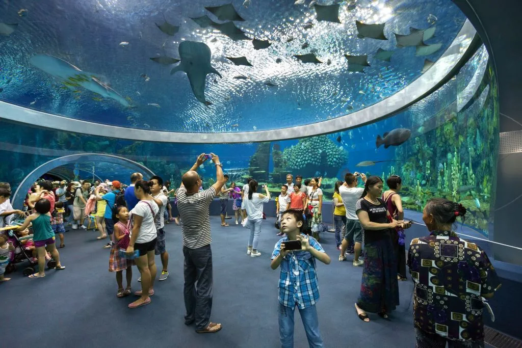 An overhead dome featuring rays and sharks at Chimelong Ocean Kingdom. Guinness Book of World Records Largest Underwater Viewing Dome.
