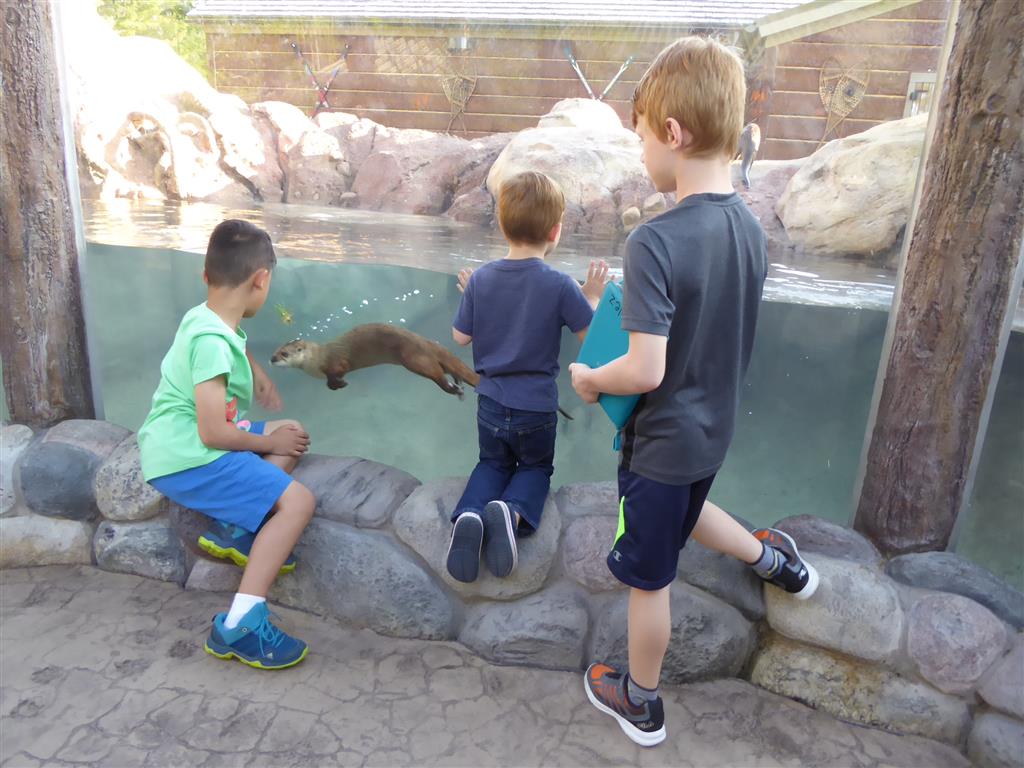 Three children visit with the new otters at Milwaukee County Zoo