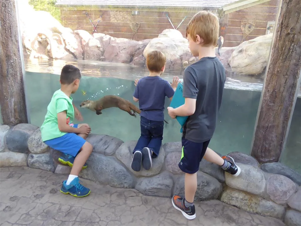 Three children visit with the new otters at Milwaukee County Zoo