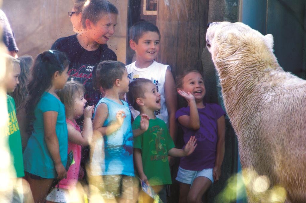 Children wave at a nearby polar bear at Great Bear Wilderness at the Brookfield Zoo