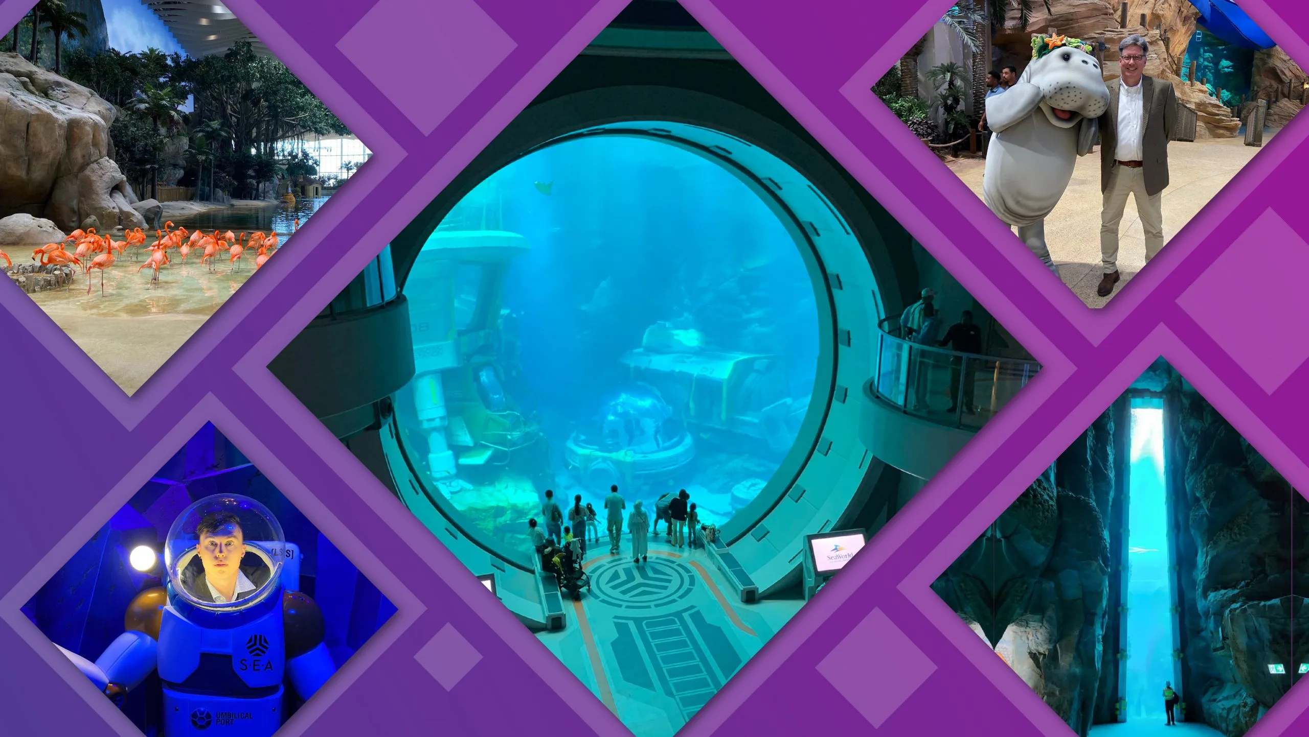 Collage of Abu Dhabi attractions from the PGAV team trip, including a giant aquarium window, flamingos and a hippo mascot