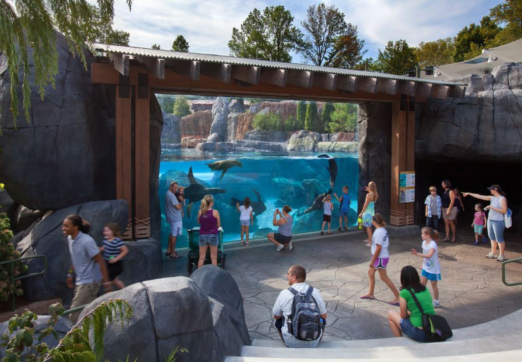 Sea_Lion_Wall