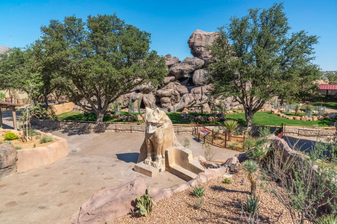 Mountain lion statue and rockwork in the landscaped plaza of the Chihuahuan Desert at El Paso Zoo