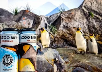 STL Zoo Bier cans set among rocks and king penguins in the Saint Louis Zoo penguin habitat