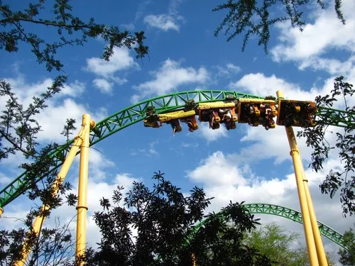 Roller coaster train cresting a green and yellow track seen through trees