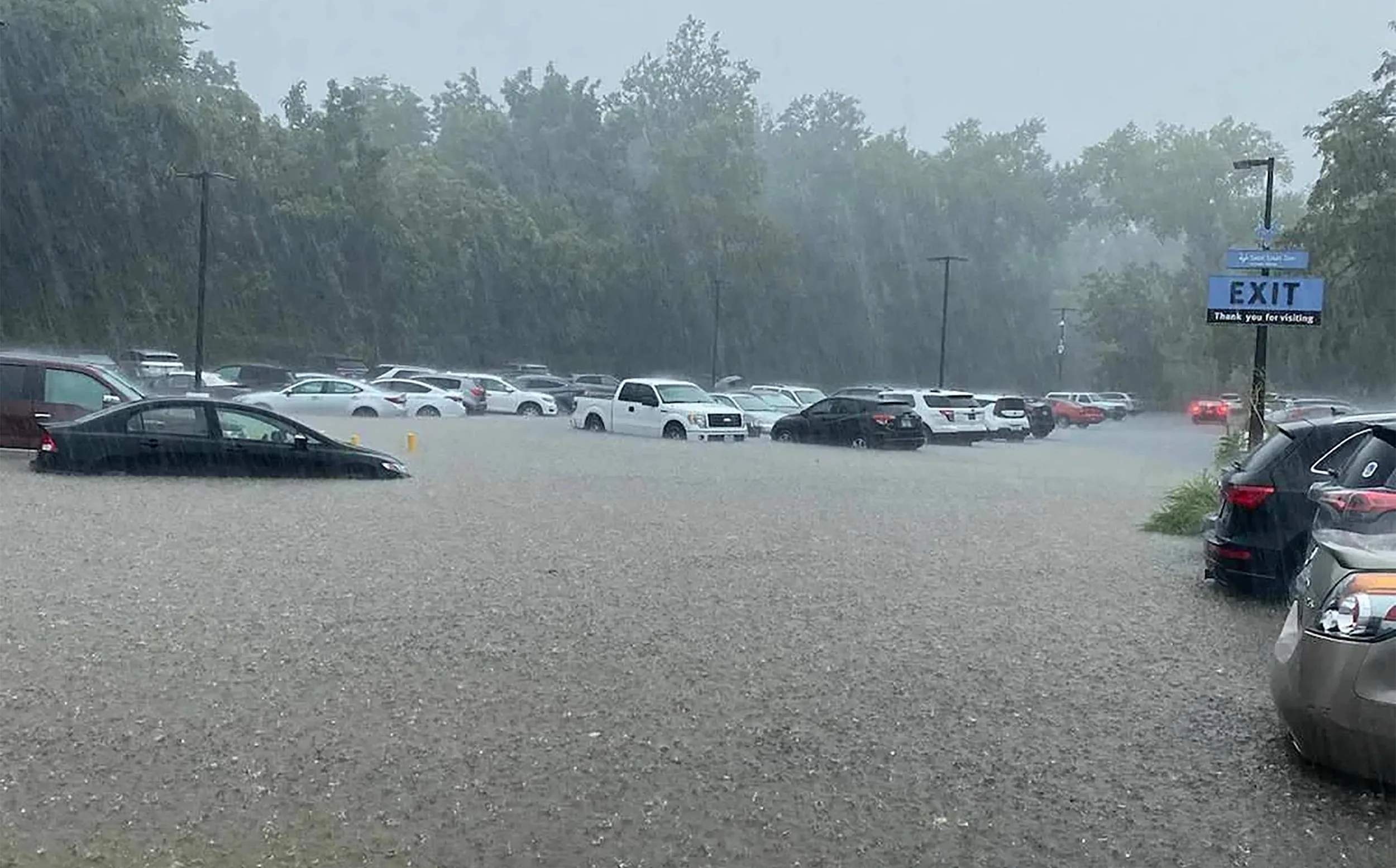Flash flood submerging cars in a zoo parking lot during heavy rain