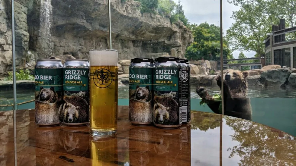 Grizzly Ridge Kolsch cans and a pint of beer on a table as a grizzly bear swims behind the glass