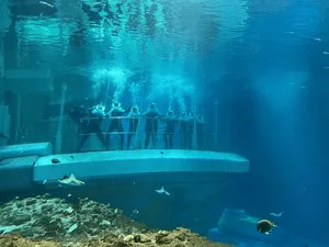 Visitors on a submerged viewing platform inside the vast aquarium at SeaWorld Abu Dhabi