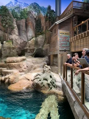 Visitors on a wooden boardwalk overlooking a rocky pool habitat with painted mountain scenery at SeaWorld Abu Dhabi
