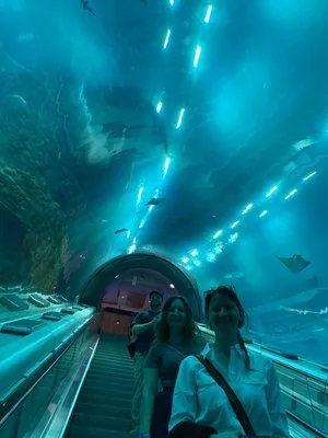 Visitors riding an escalator through an underwater aquarium tunnel at SeaWorld Abu Dhabi