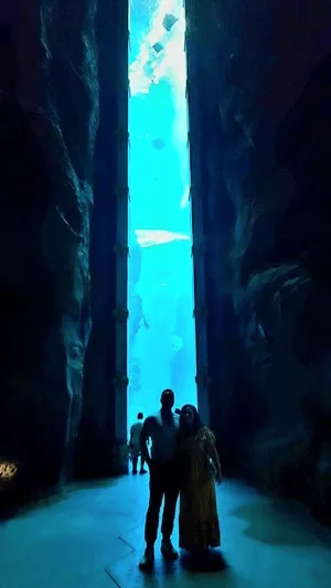 Silhouetted visitors standing before a towering aquarium window in a dark rock canyon at SeaWorld Abu Dhabi