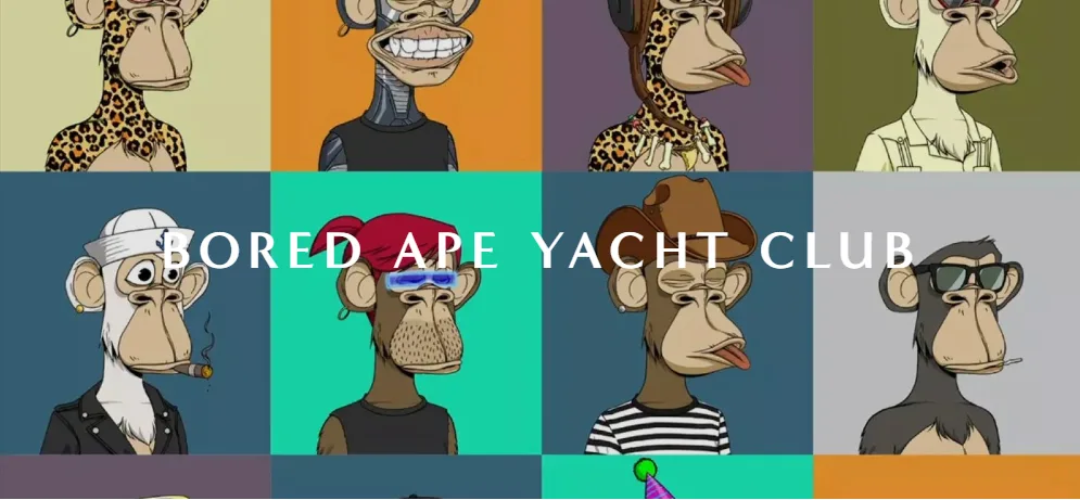 Grid of Bored Ape Yacht Club NFT ape illustrations with the club name across the center