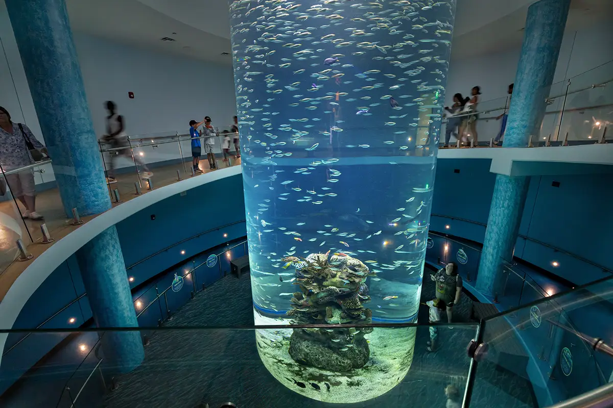 two-story aquarium tank
