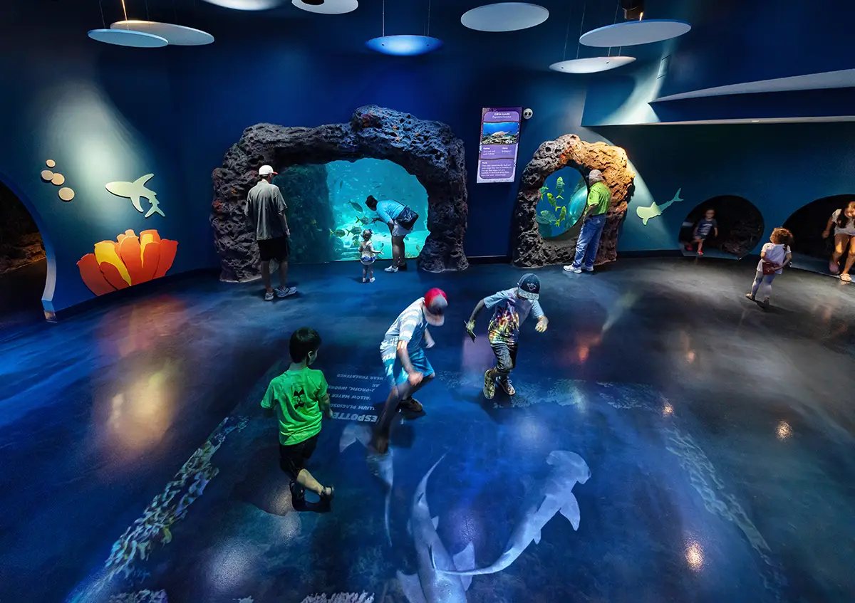 interactive aquarium exhibit