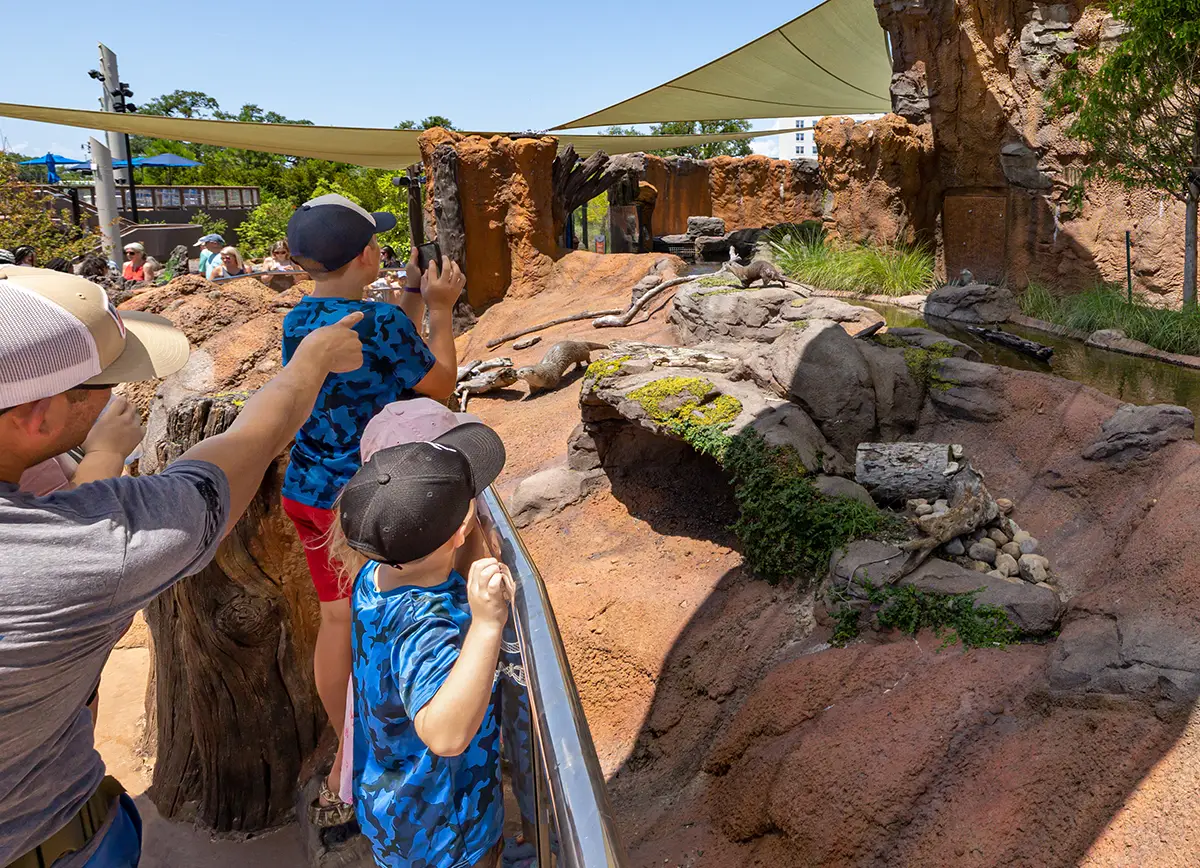 outdoor otter aquarium exhibit