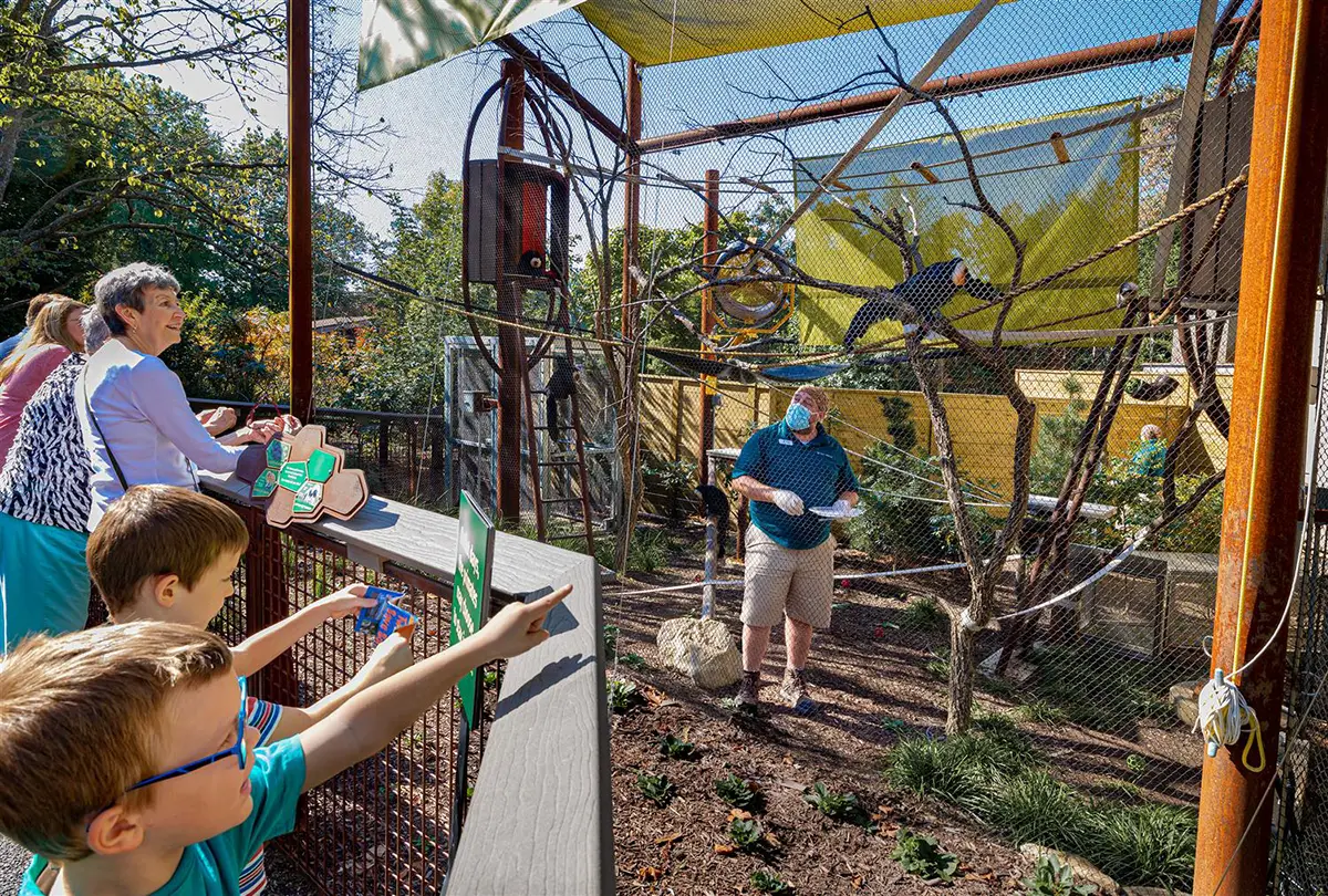 children learning at Primate Canopy Trails