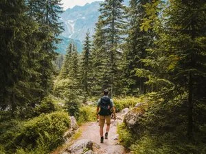 Hiker walking a forest trail toward snowy mountains