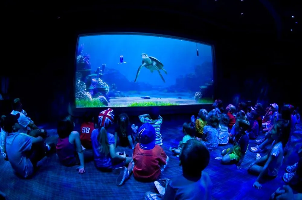 Children seated on the floor watching Crush the sea turtle on screen at Turtle Talk with Crush