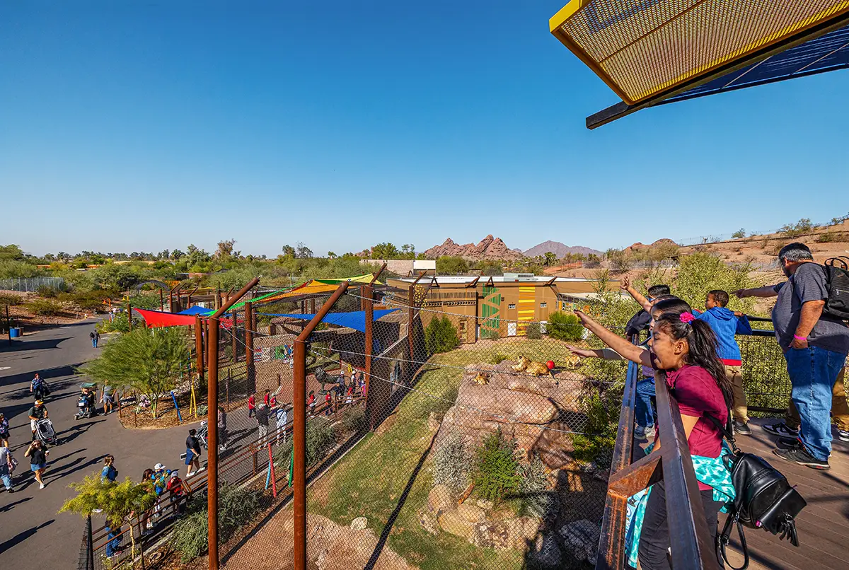 Phoenix Zoo Tower