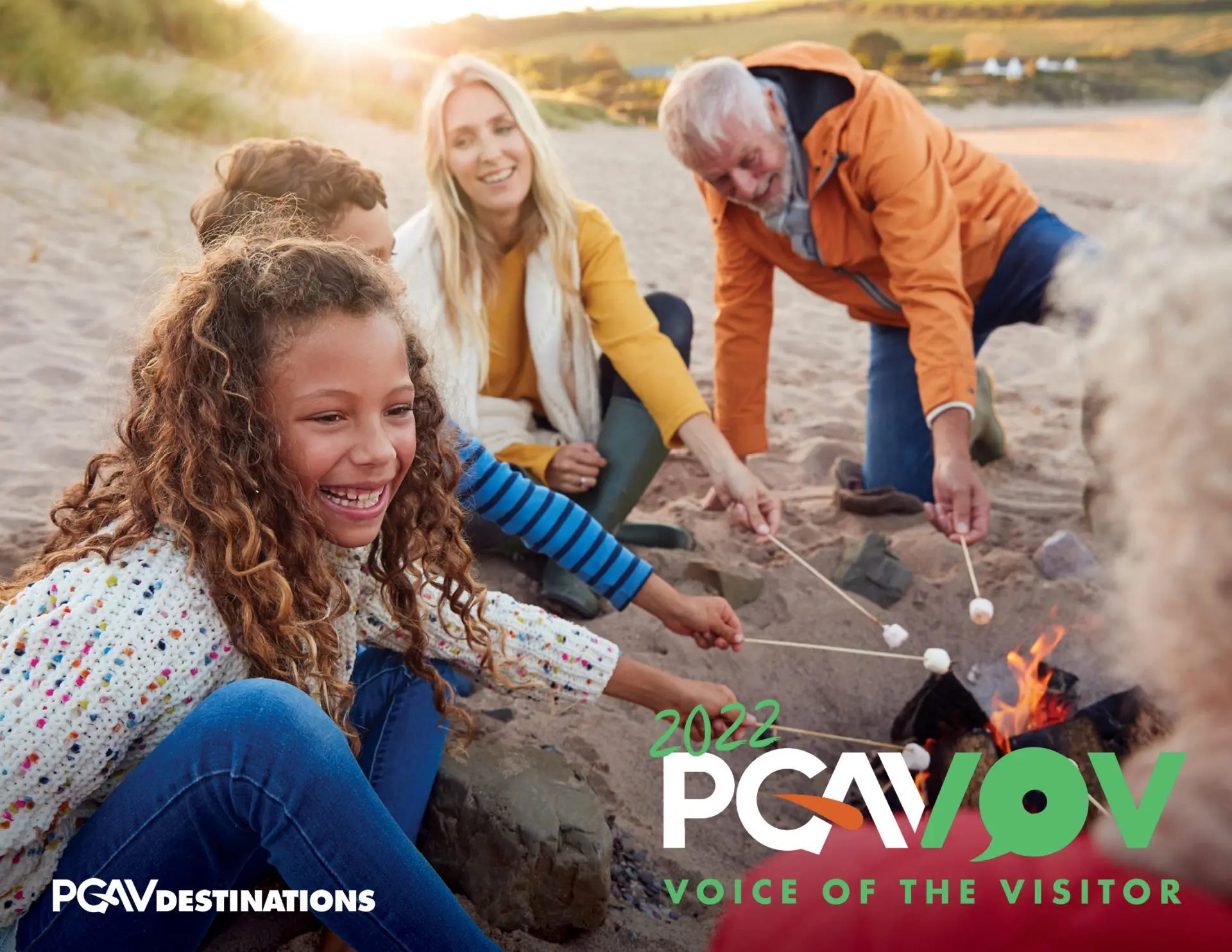 Cover art for Voice of the Visitor 2022