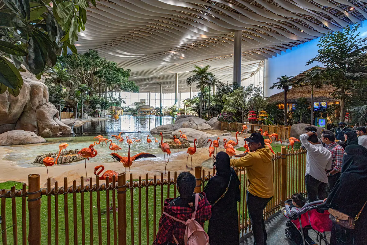 Indoor tropical aquarium