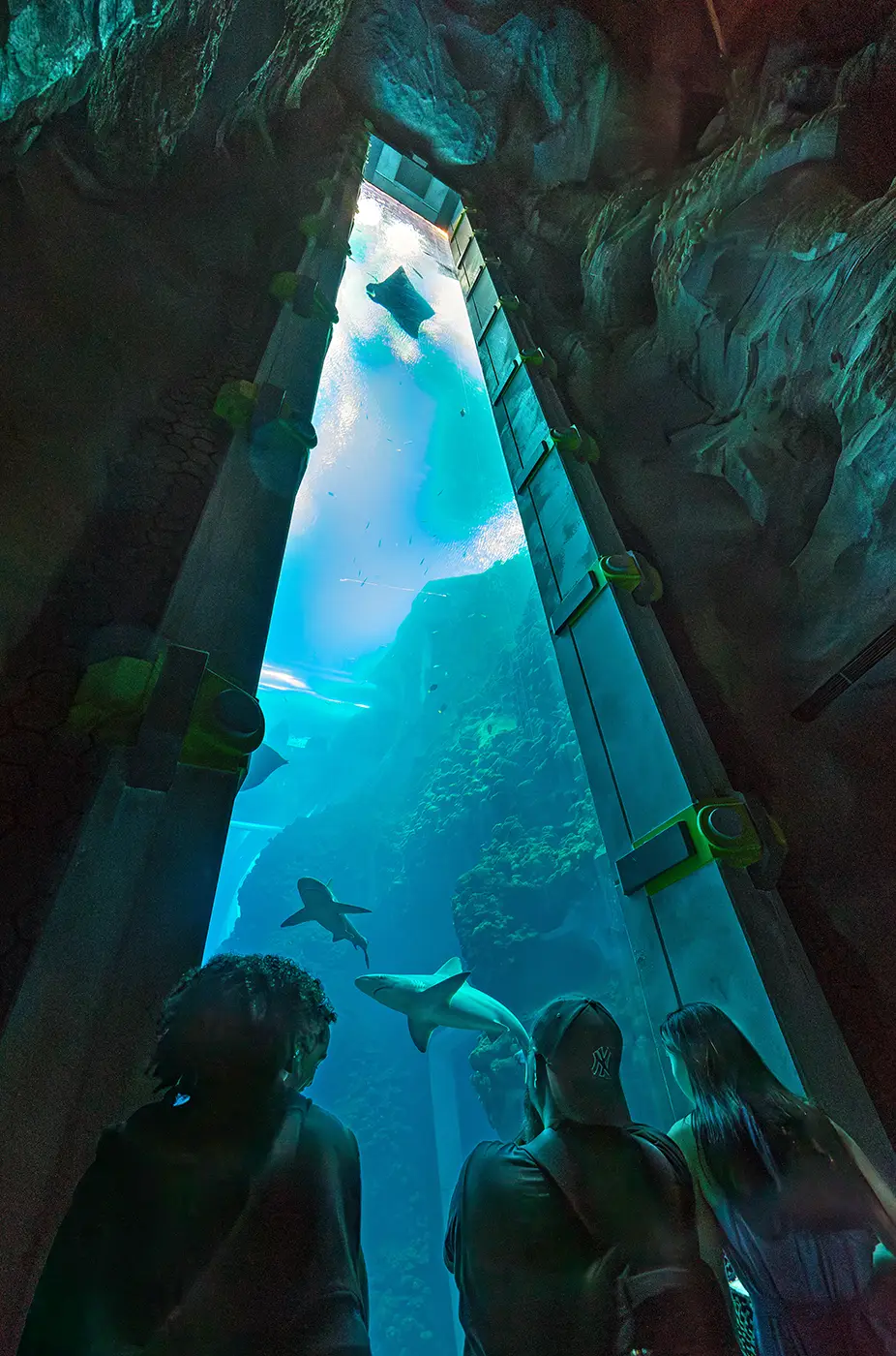 Visitors looking though large aquarium window