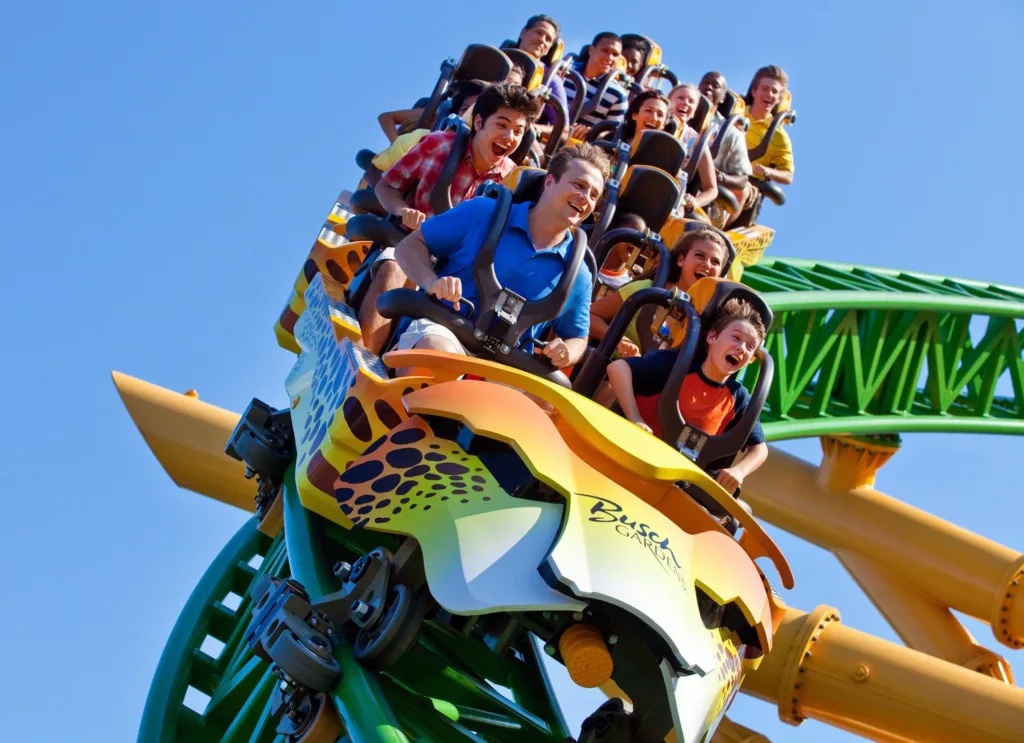 Riders cheering on the cheetah-themed Cheetah Hunt roller coaster at Busch Gardens